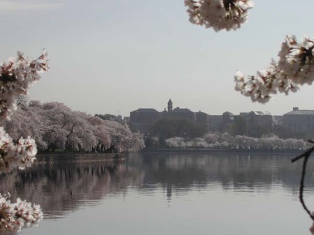 http://latinadanza.com/washingtondc-nightlife/The-Washington-DC-Information-Center/Best-Of-Washington-DC-Tourist-Guide/Washington-DC-Information-Center-Map-image-1003.jpg